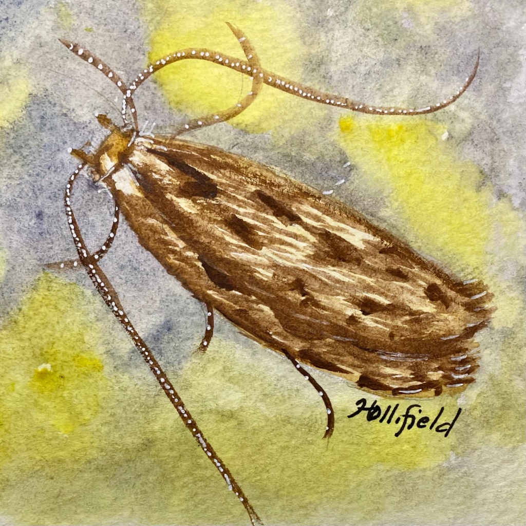 Brown moth watercolor painting 